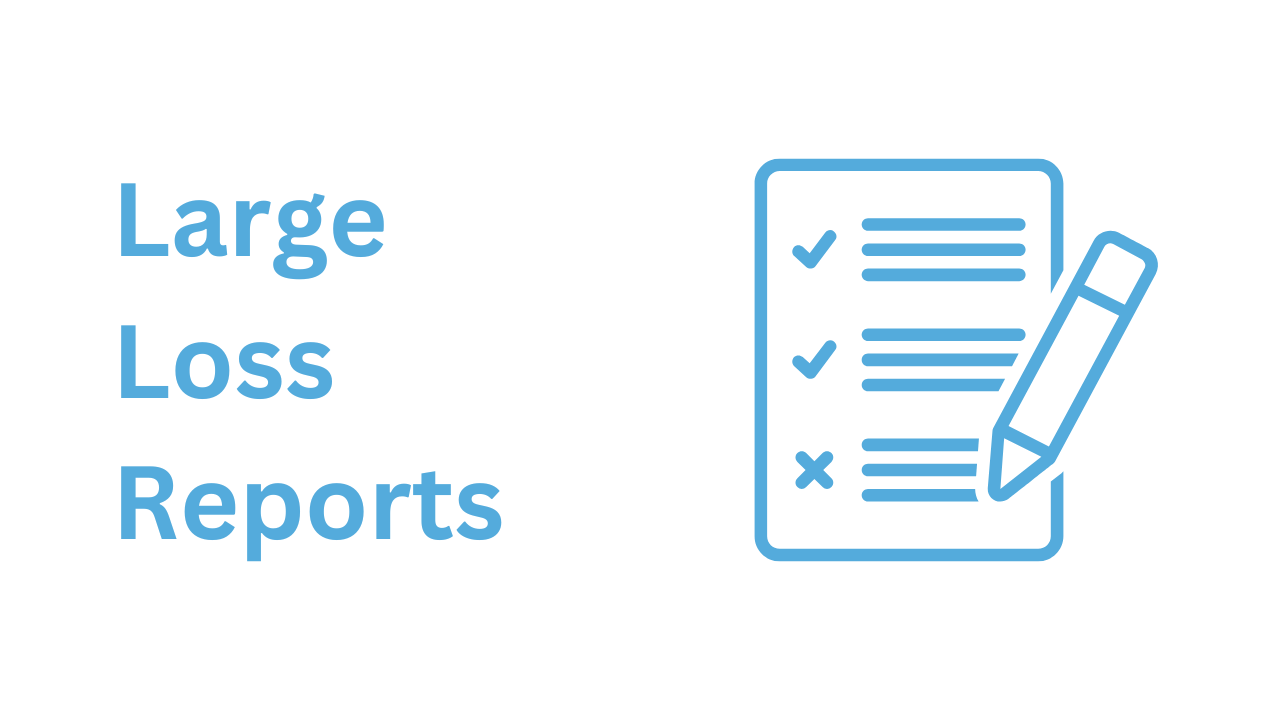 Large Loss Reports